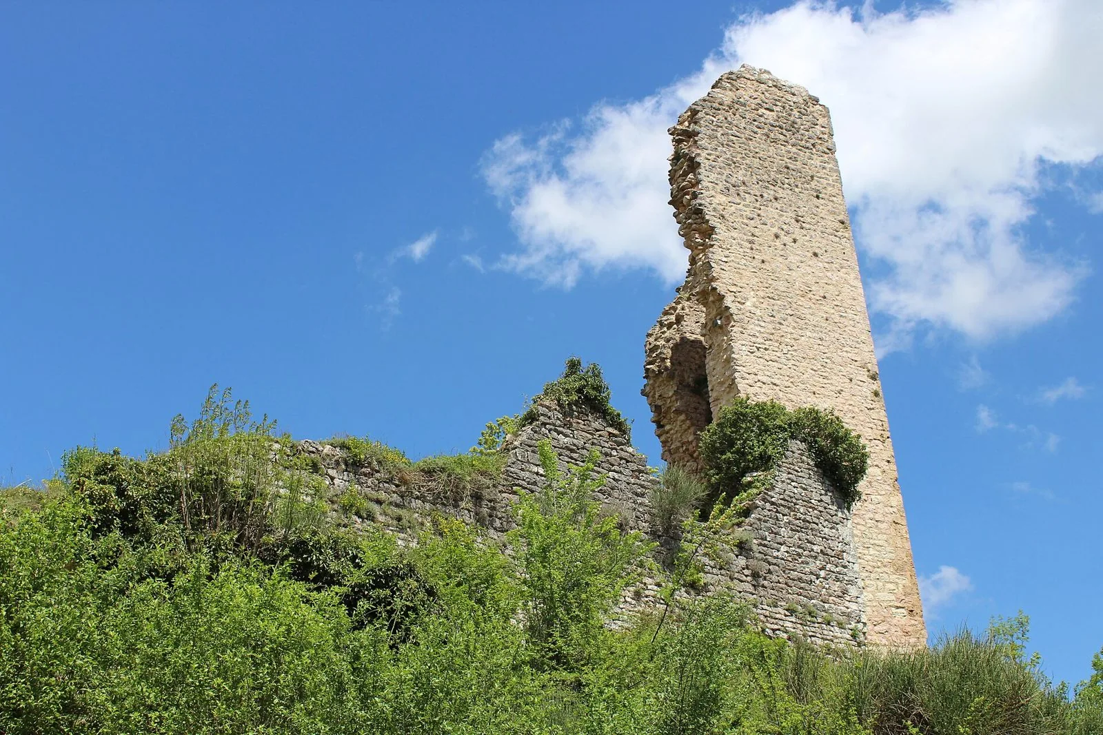 Ruderi del mastio del castello di Rasiglia tra la vegetazione sotto un cielo azzurro